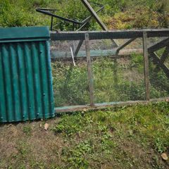 chicken coop