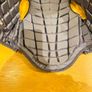 Body protector - Titanium by Champion - Size XSC Image 3