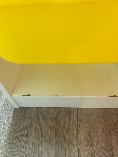 Ikea Trofast storage