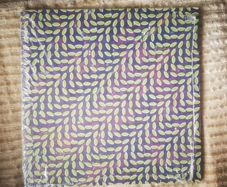 Animal Collective - Merriweather Post Pavillion UK LP Indie