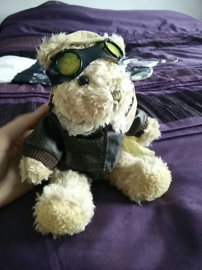 The Bear Collection - Pilot Bear