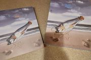 photo album