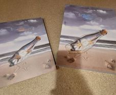 photo album
