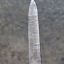 Rare Art Deco Sterling Silver Scalpel/Manicure Set Image 7