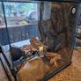 glass terrarium Image 6
