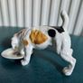 Rare Vintage Royal Doulton Jack Russell Terrier Dog Figurine Image 2
