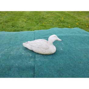Duck Blackwater-GL-BR025