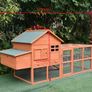 Hen Hilton - 9 -12 Bird - Free delivery Image 10