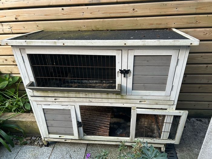 rabbit hut