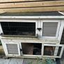 rabbit hut Image 2