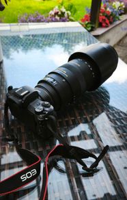 Canon M50 mkii bundle