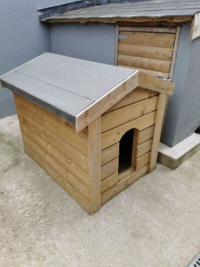 dog kennel