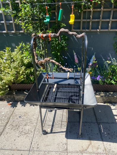 Bird Table