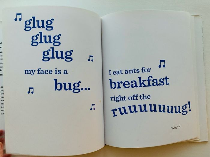 The Book With No Pictures