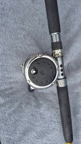Boat rod and reel