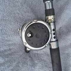 Boat rod and reel