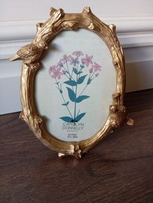 Carolyn Donnelly Picture Frame
