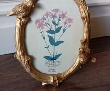 Carolyn Donnelly Picture Frame