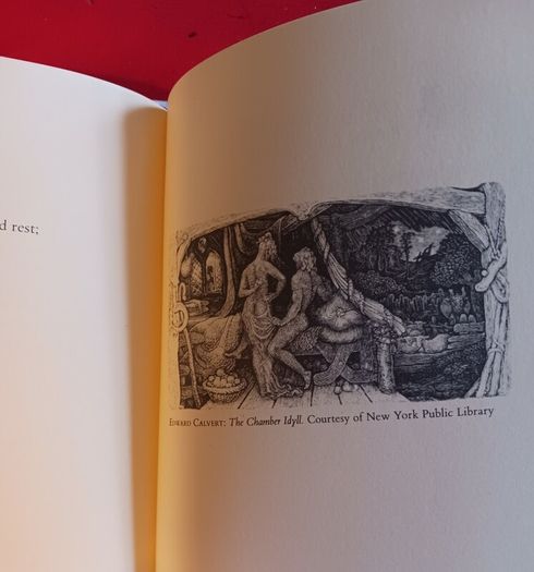 W.B.Yeats / A Poet to his Beloved/ The Early Love Poems/ 1985