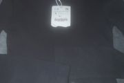 zara body
