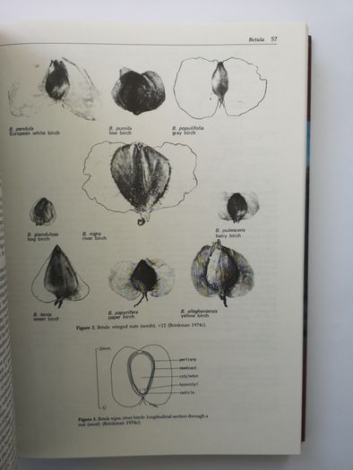Seeds of Woody Plants in North America: Revised and Enlarged Edition