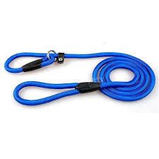 Nylon Rope Dog Whisperer Style Slip On Training Lead - (S-M)