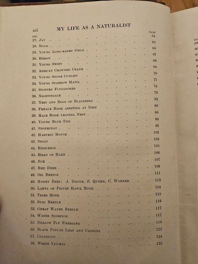 My Life As A Naturalistic. By W. Percival Westell. First Edition 1918 Hardback In Fair Condition.  See Photos For Same.
