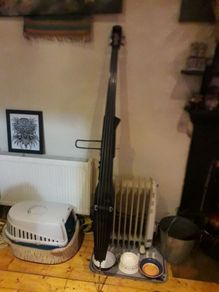 Stand up bass