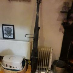 Stand up bass
