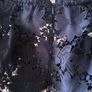 Coast Dress Image 6