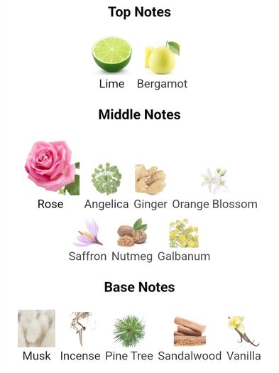 Amouage Lyric