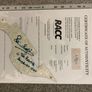 Signed Pete Best (The Beatles) Hofner Pickguard Image 4