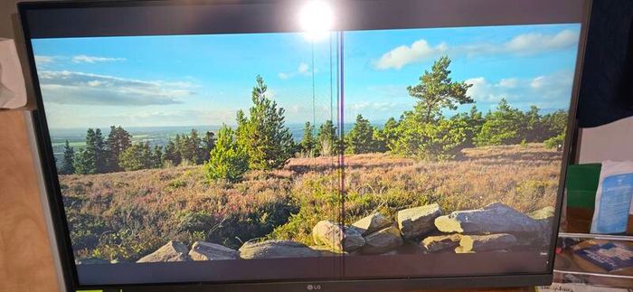LG faulty monitor