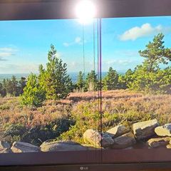 LG faulty monitor