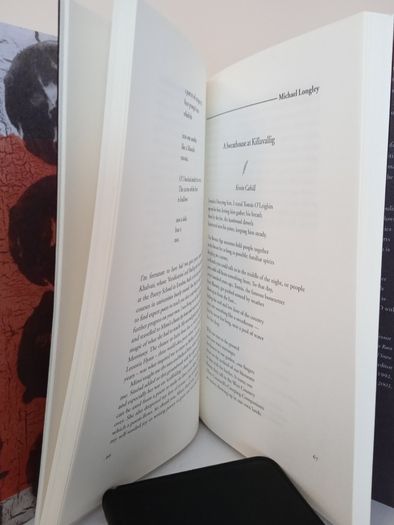 Hold Open the Door: A Commemorative Anthology from The Ireland Chair of Poetry Edited by Michael McCann (PT09)