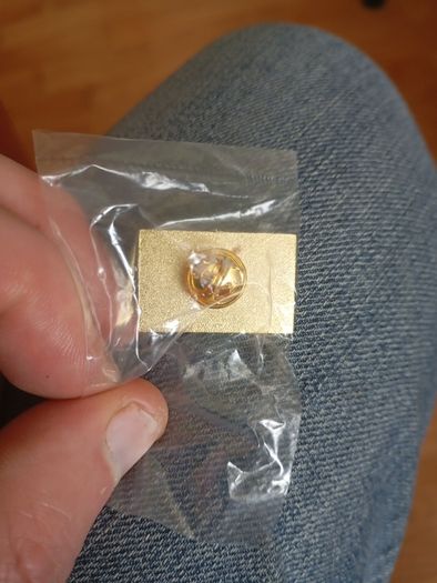 Roy Keane testimony match pin