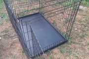 dog cage
