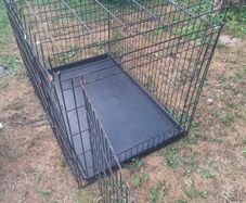 dog cage