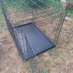 dog cage