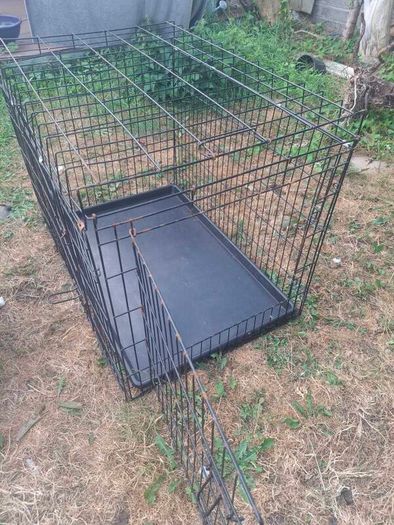 dog cage