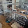 6ft x 6ft Chrome Wire Shelving Image 2