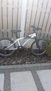 Childs Rockrider Mountain Bike