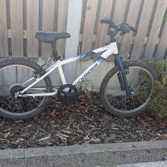 Childs Rockrider Mountain Bike