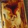 pendant Image 4