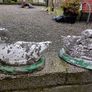 garden Image 2