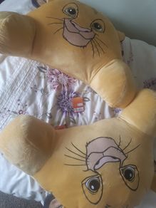 Teddy