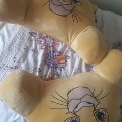 Teddy