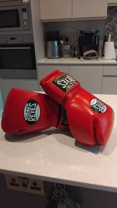 Boxing gloves