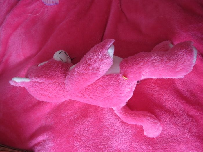 Build A bear Bundle