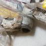 Yamaha XS500 exhaust gaskets job lot Image 7